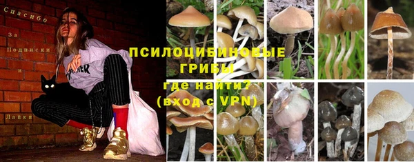 MDMA Premium VHQ Козельск