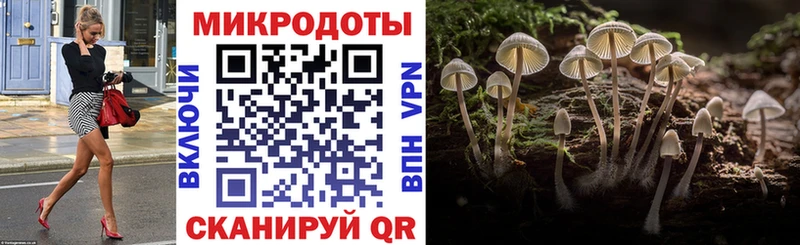 Купить закладки  Александровск  Псилоцибиновые грибы мухоморы 